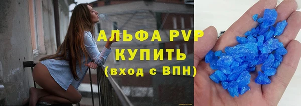 прущие крисы Верея