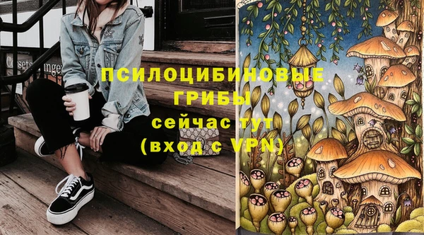 спиды Богородск