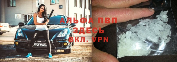 прущие крисы Верея