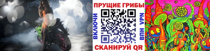 Псилоцибиновые грибы Cubensis  Волгореченск 